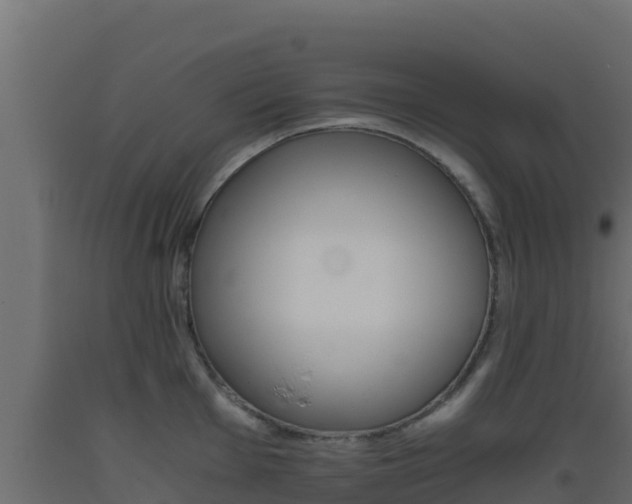 X0000093511001200710121059