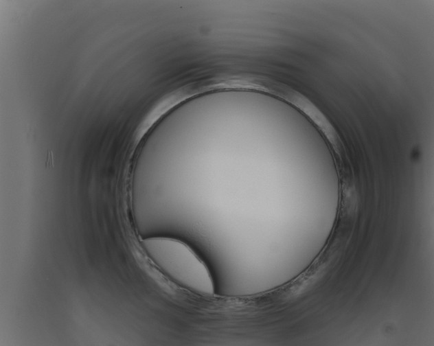 X0000093511002200710121059
