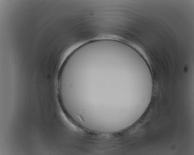 X0000093511003200710121059