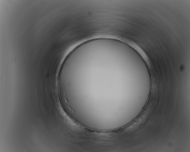 X0000093511004200710121059