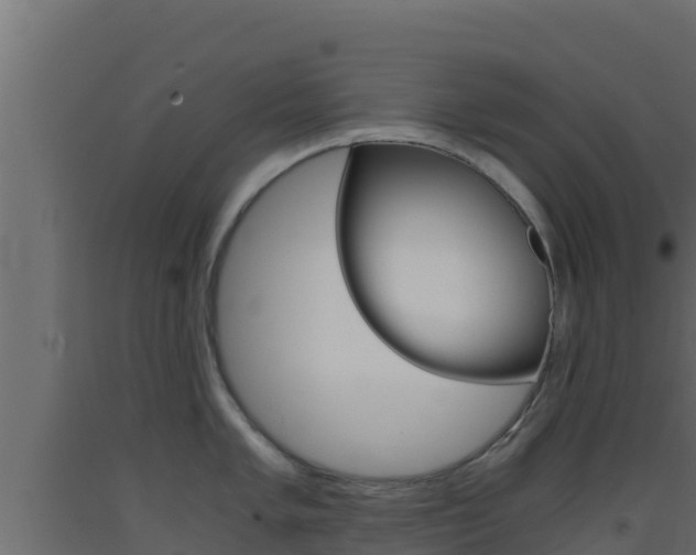X0000093511005200710121059
