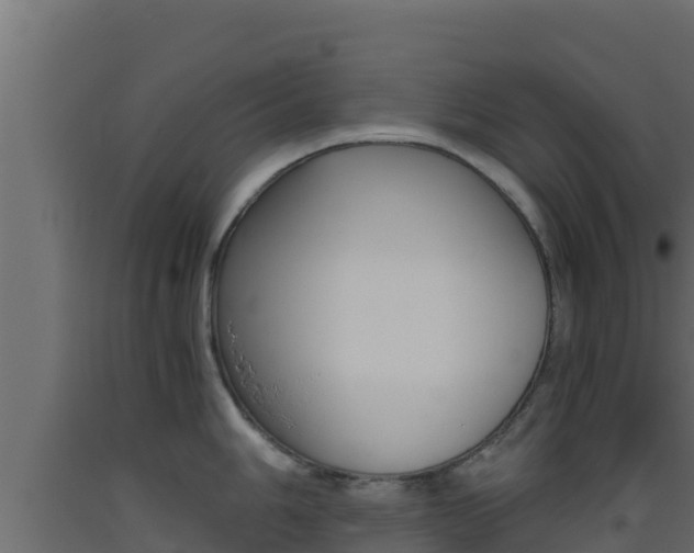 X0000093511006200710121059