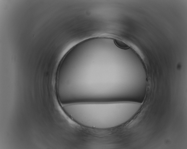 X0000093511007200710121059