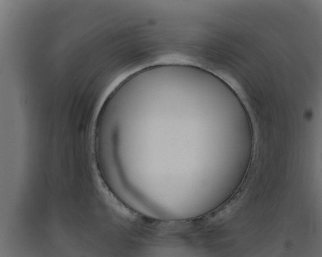 X0000093511008200710121059