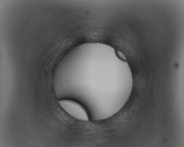 X0000093511009200710121058