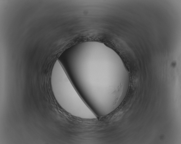 X0000093511010200710121058