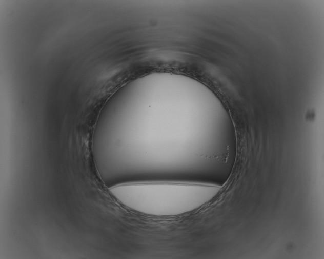 X0000093511013200710121058