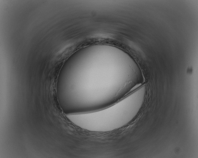 X0000093511014200710121058