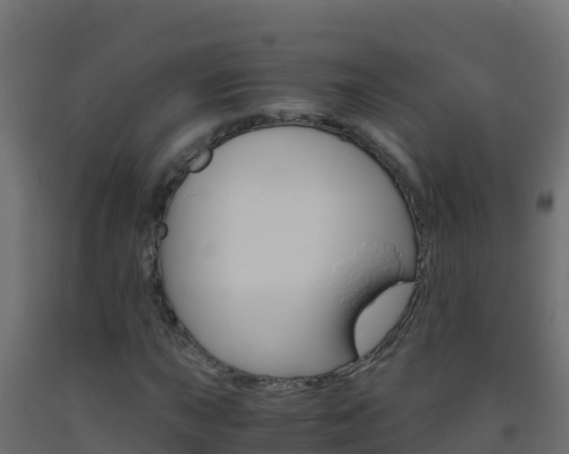 X0000093511015200710121058