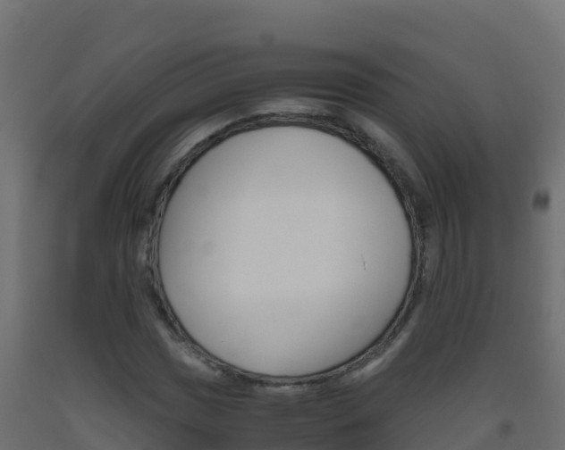 X0000093511017200710121059