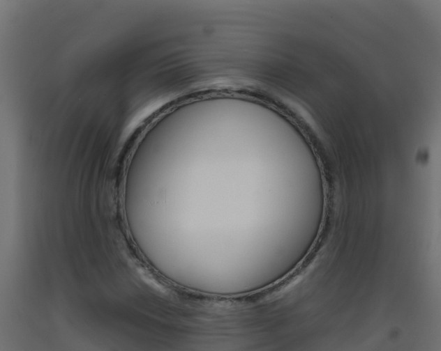 X0000093511018200710121059