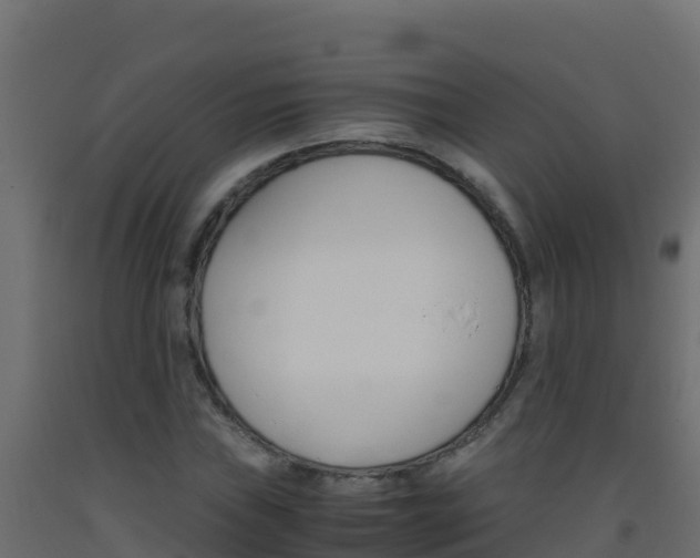 X0000093511019200710121059