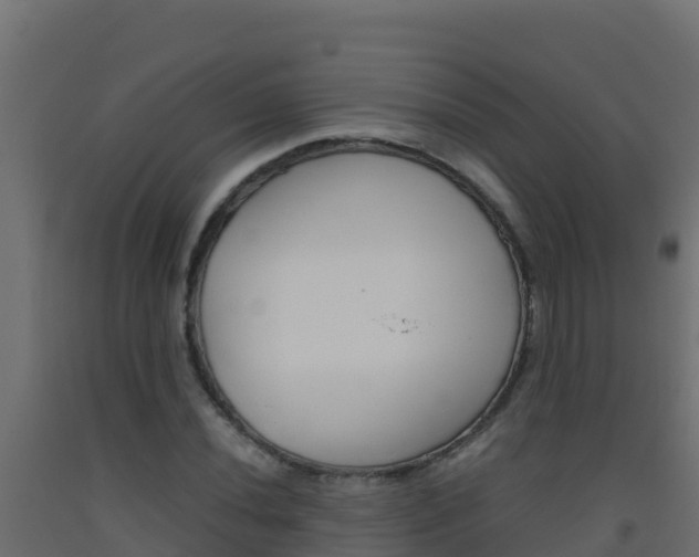 X0000093511020200710121059