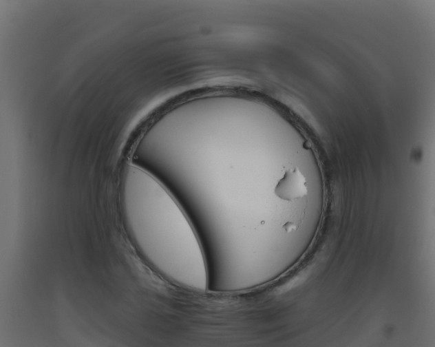 X0000093511021200710121059