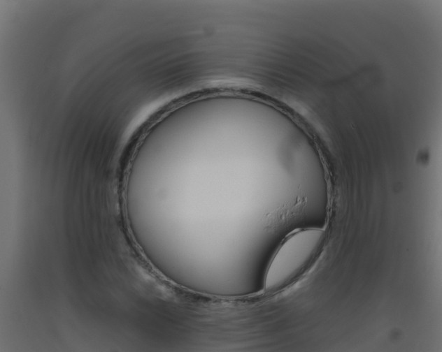 X0000093511022200710121059