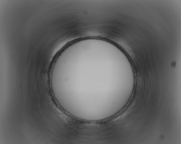 X0000093511023200710121059