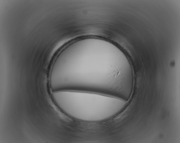 X0000093511024200710121059
