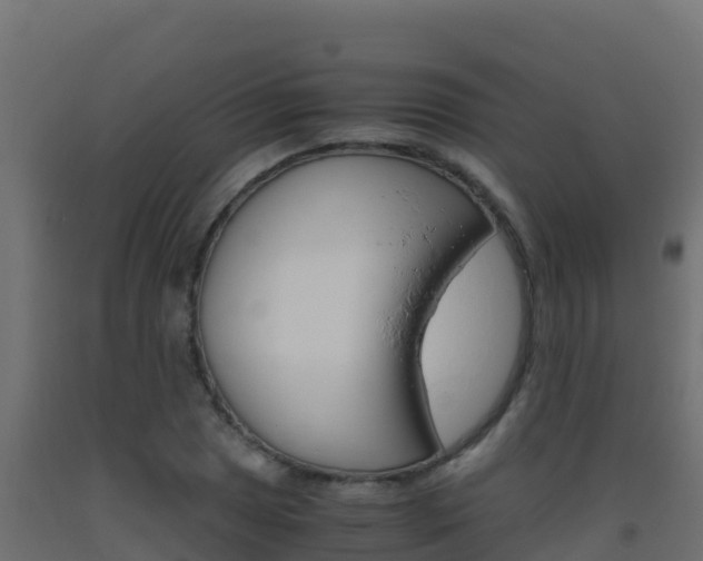 X0000093511025200710121059