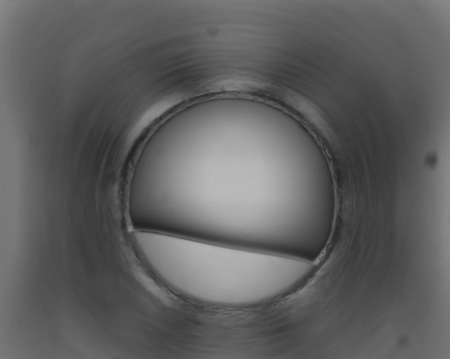 X0000093511026200710121059