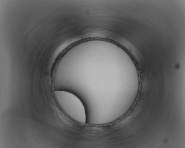 X0000093511027200710121059