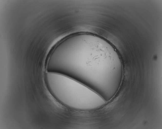X0000093511028200710121059