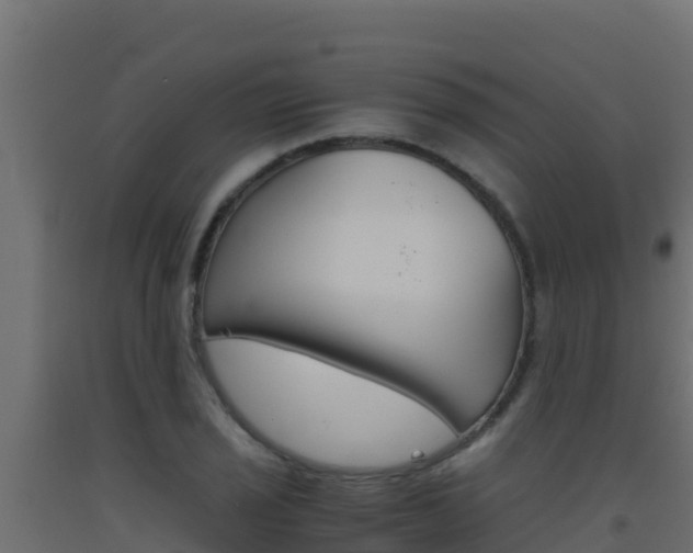 X0000093511029200710121059