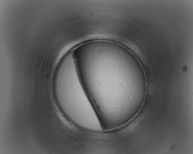 X0000093511030200710121059