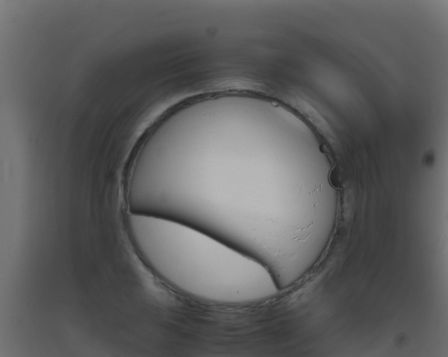 X0000093511031200710121059