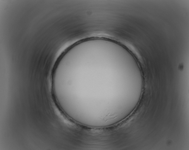 X0000093511032200710121059
