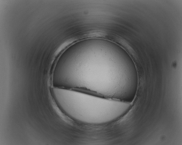 X0000093511034200710121059