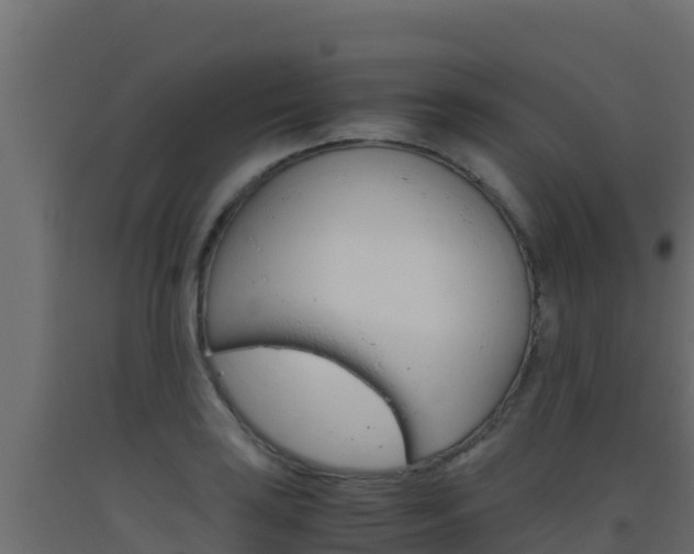 X0000093511035200710121059