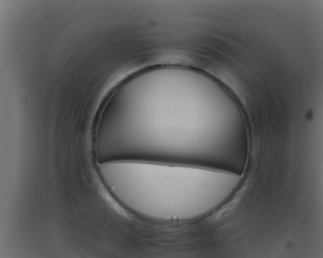 X0000093511037200710121059