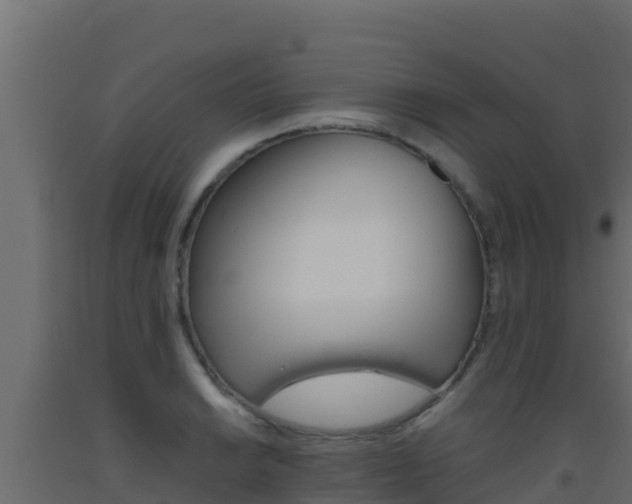 X0000093511038200710121059