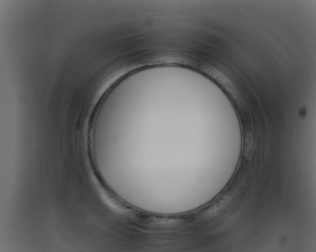 X0000093511039200710121059