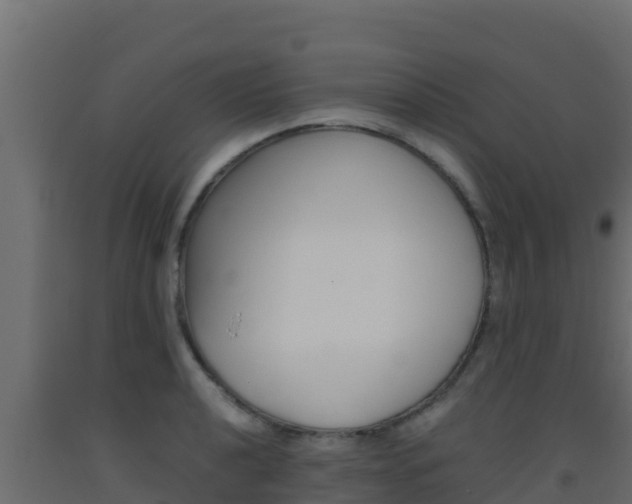 X0000093511040200710121059
