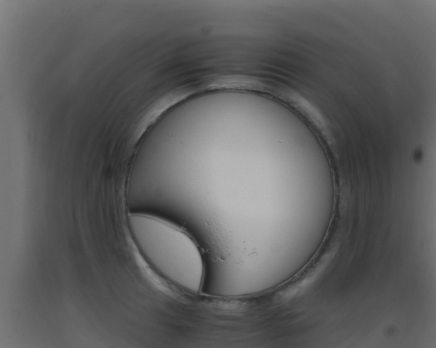X0000093511041200710121059