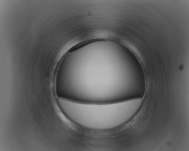 X0000093511042200710121059