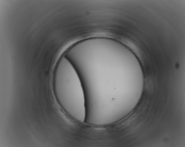 X0000093511043200710121059