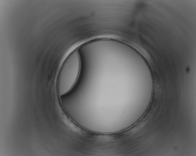 X0000093511044200710121059