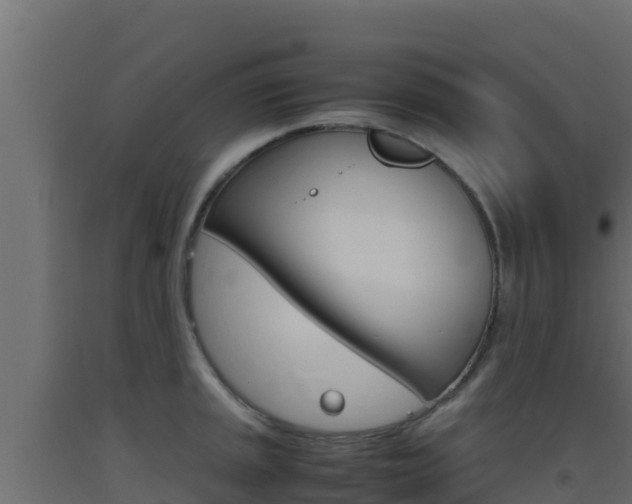 X0000093511045200710121059
