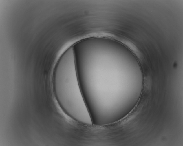 X0000093511046200710121059