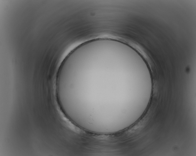 X0000093511048200710121059
