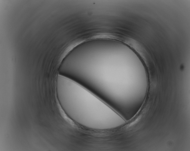 X0000093511049200710121059