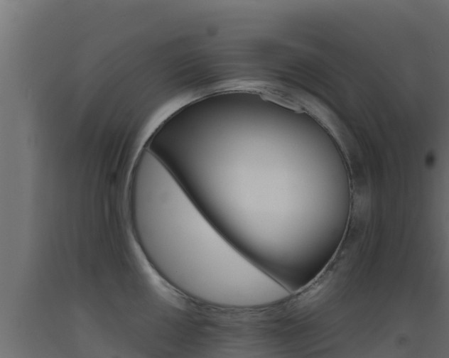 X0000093511050200710121059