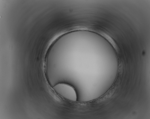 X0000093511051200710121059