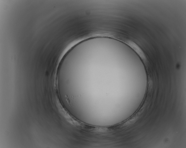 X0000093511052200710121059