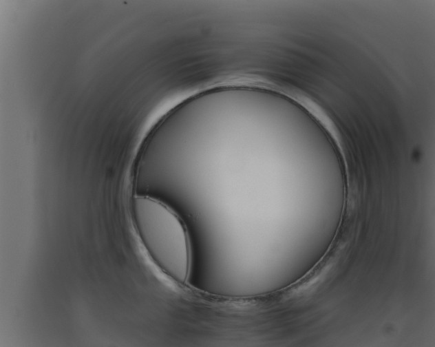 X0000093511053200710121059