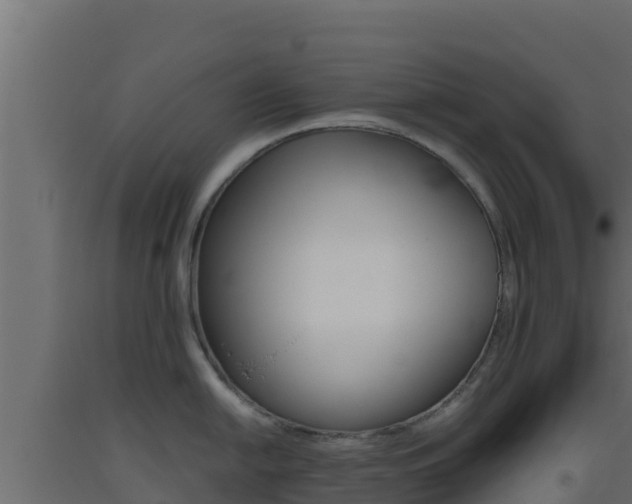 X0000093511054200710121059