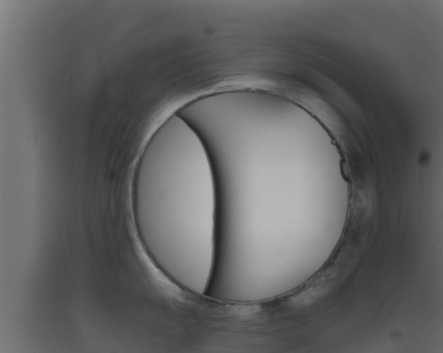 X0000093511055200710121059