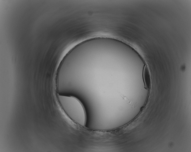 X0000093511056200710121059